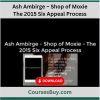 Ash Ambirge – Shop of Moxie – The 2015 Six Appeal Process