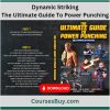 Dynamic Striking – The Ultimate Guide To Power Punching