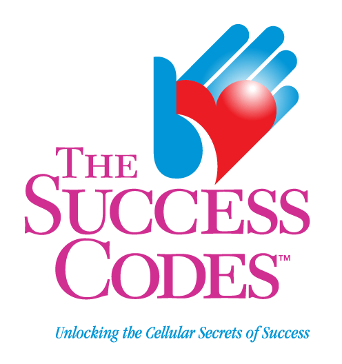 What is Alex Loyd The Success Codes