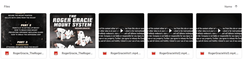 The Roger Gracie Mount System Sale