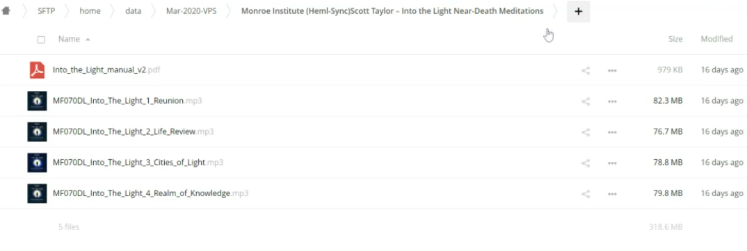 Monroe Institute (Hemi-Sync) Scott Taylor - Into the Light Near-Death Meditations